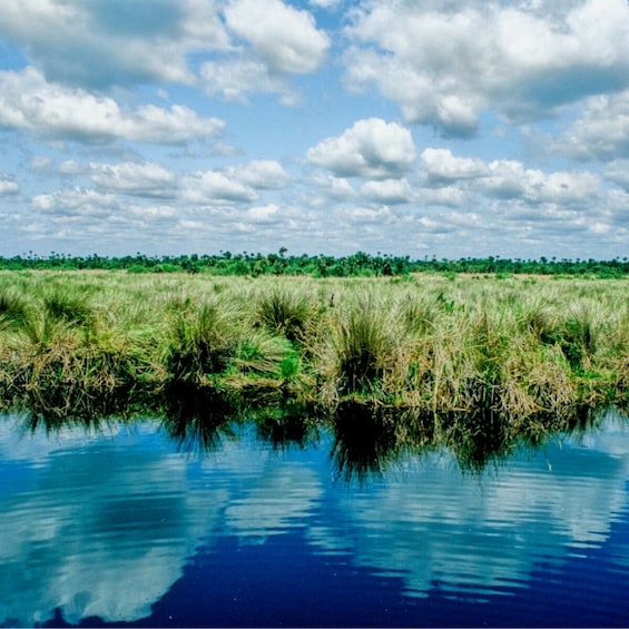 BEST Miami & Everglades National Park Day Tour from MIA