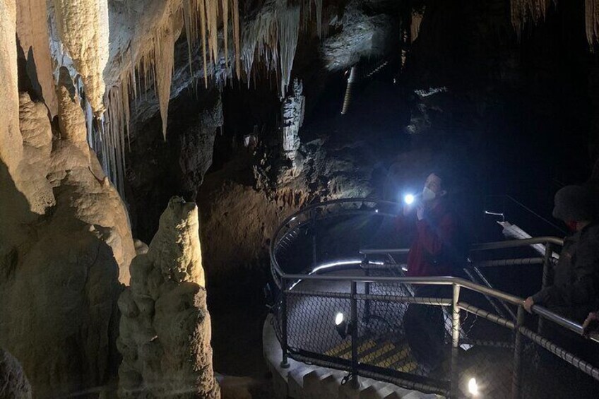 Hastings Caves, Tahune and Huon Valley Full Day Guided Tour