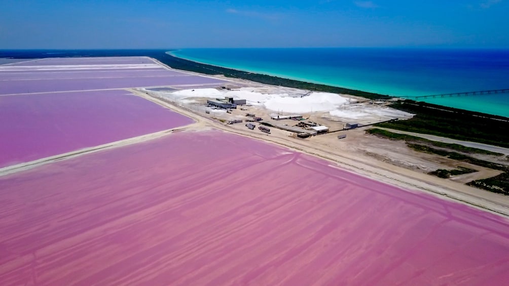 BEST Romantic Las Coloradas Pink Lake & Cenote Day Tour from Cancun Mexico
