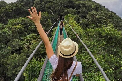 Visit Ixpanpajul: Jungle, Trekking, Hanging Bridges & Canopy - Tour from Fl...