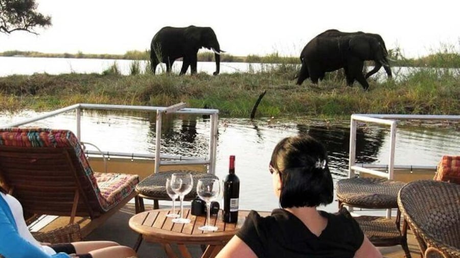 Chobe River Lunch Cruise
