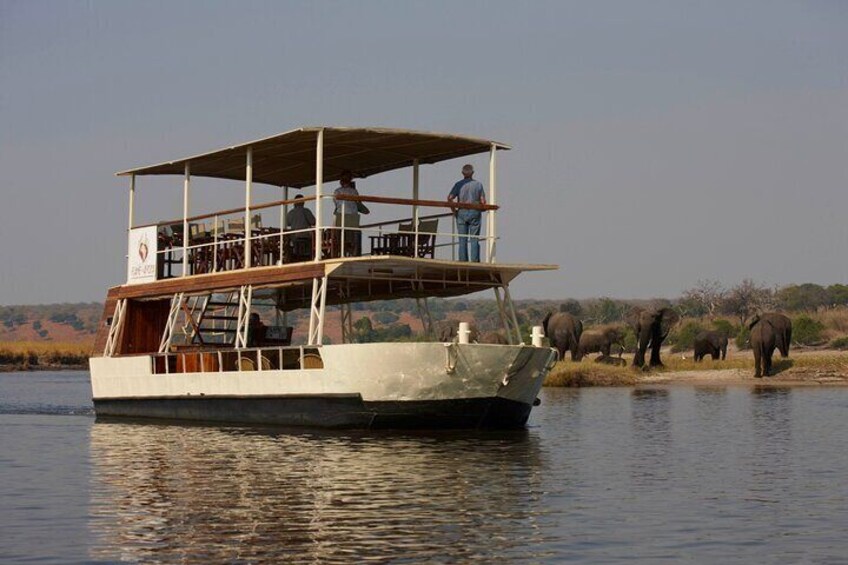 Chobe Cruise