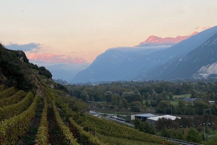 Gourmande Wine and Dine Walking Tour in Valais