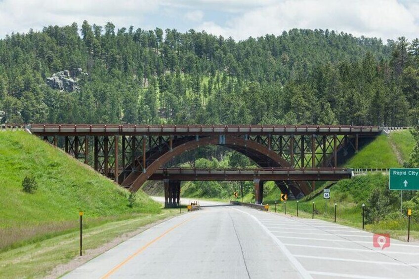 Self-Guided Audio Driving Tour in Black Hills and Mt Rushmore