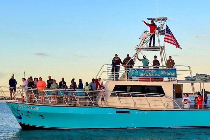 Dolphin tours all year round…jackets and blankets welcome.