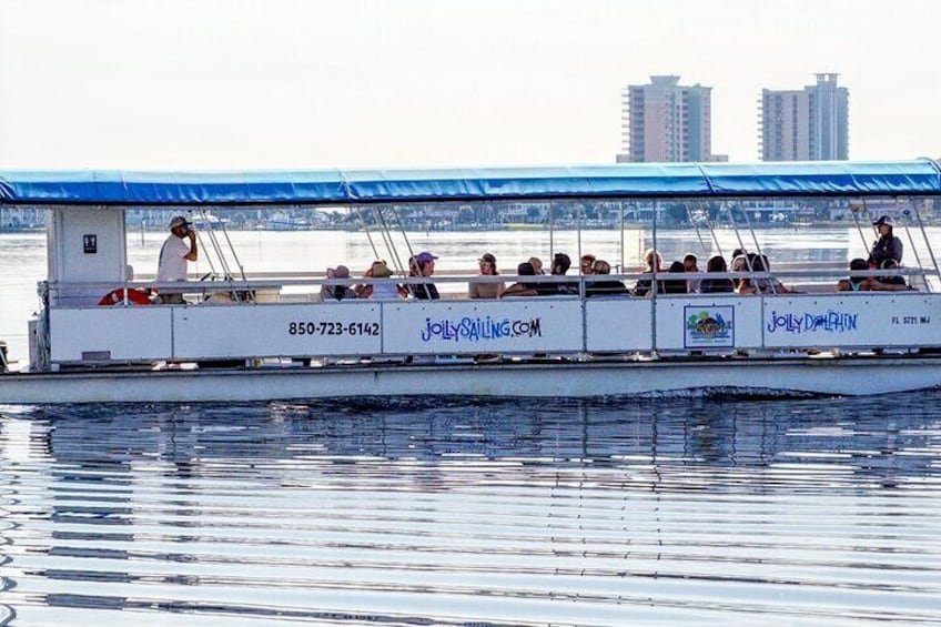 Per Person Shared 2 Hour Dolphin Cruise/Scenic Bay Tour