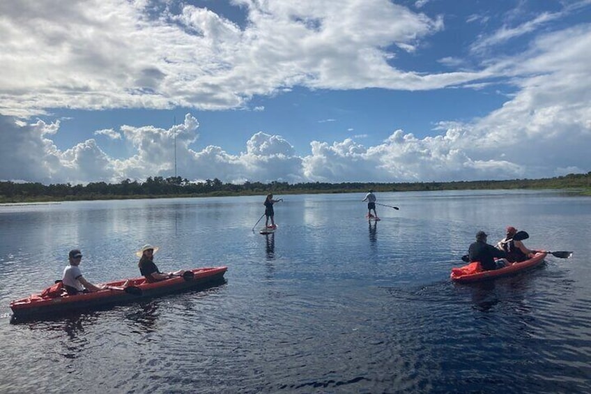 New Smyrna Dolphin and Manatee Adventure Tour