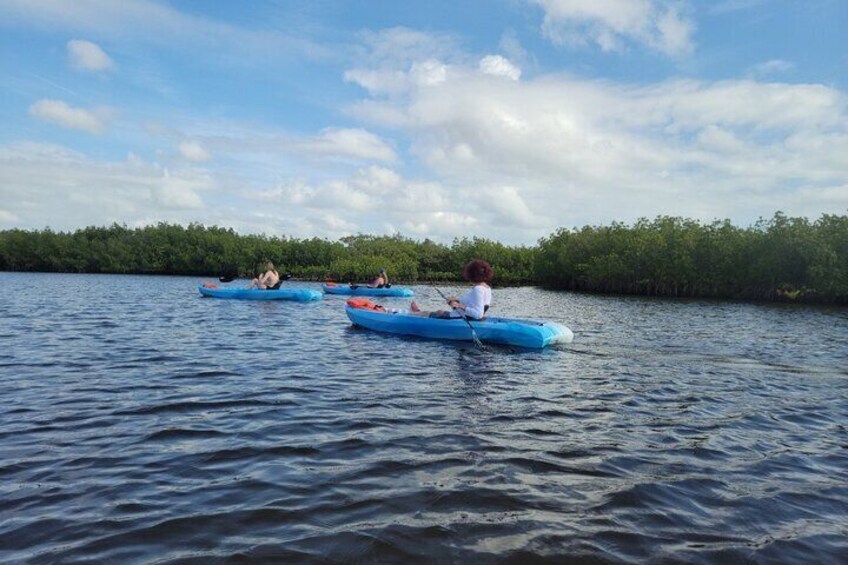 New Smyrna Dolphin and Manatee Adventure Tour