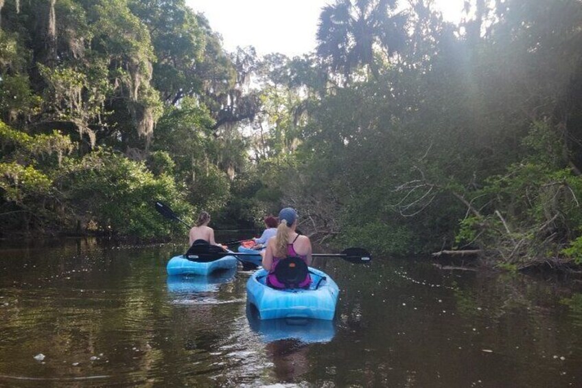 New Smyrna Dolphin and Manatee Adventure Tour