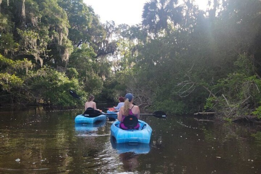 New Smyrna Dolphin and Manatee Adventure Tour