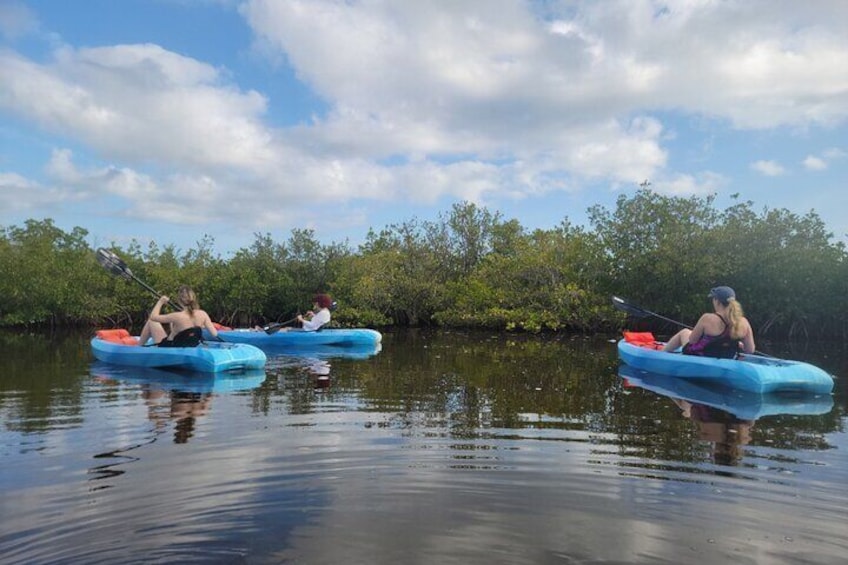 New Smyrna Dolphin and Manatee Adventure Tour