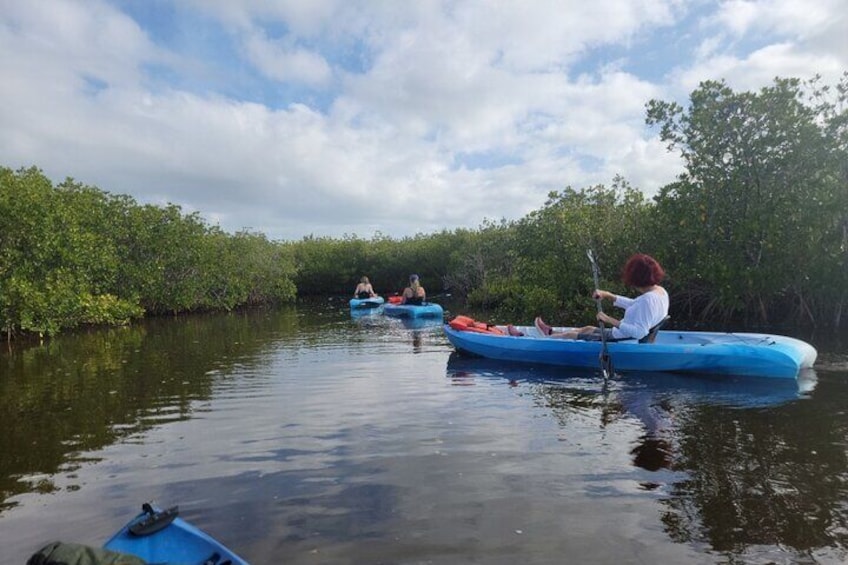 New Smyrna Dolphin and Manatee Adventure Tour