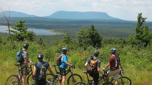 Tour de día completo en bicicleta por West Dalat