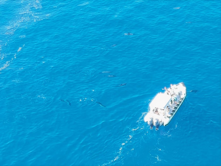 Aerial view of a powerboat in Waimea