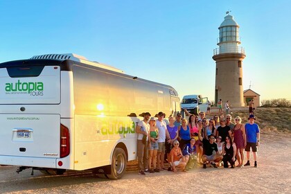 Perth to Exmouth Explorer with Ningaloo Reef and Dolphins 7-Day Return Tour
