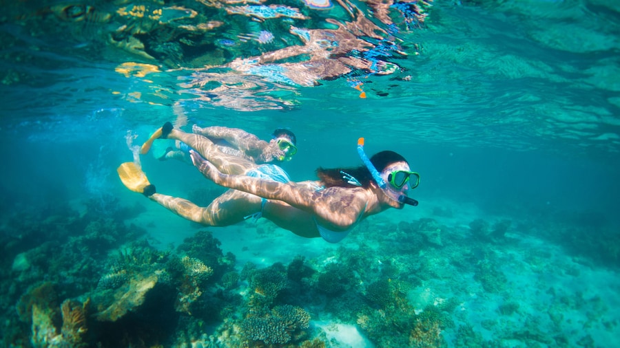 Perth to Exmouth 6-Day Coral Coaster One-Way Soft Adventure Tour