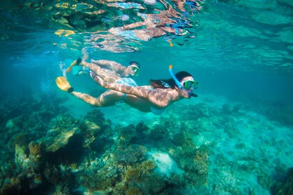Perth to Exmouth Coral Coaster 6-Day Soft Adventure One-Way Tour
