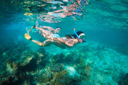 Perth to Exmouth Coral Coaster 6-Day Soft Adventure One-Way Tour