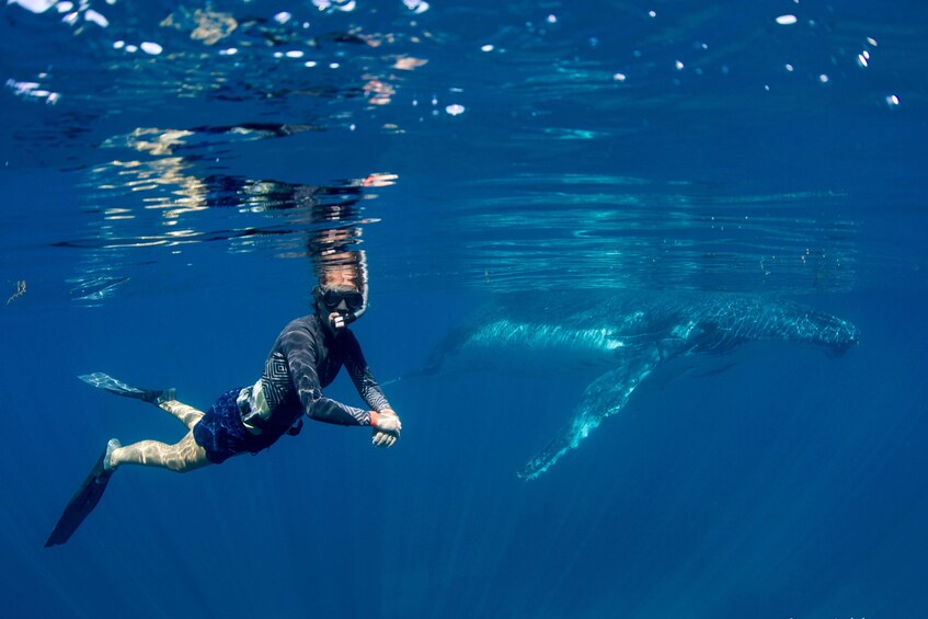 Perth to Exmouth 6-Day Coral Coaster One-Way Soft Adventure Tour