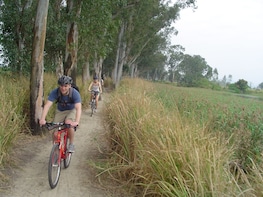 Private Cycling Tour of Hong Kong's New Territories w/Lunch