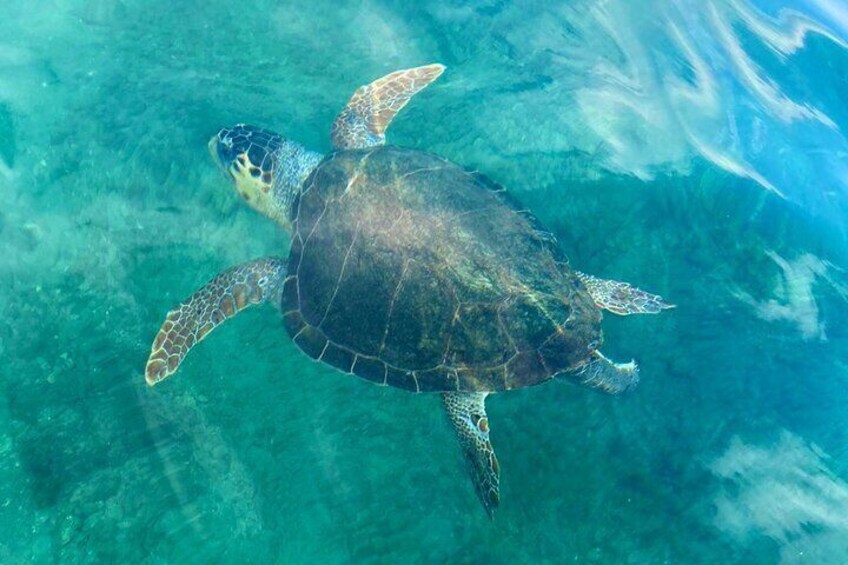 Lazareta Stand Up Paddle and Snorkeling Adventures