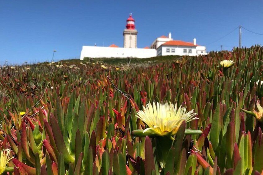 day tour - Sintra, Cabo da Roca and Cascais