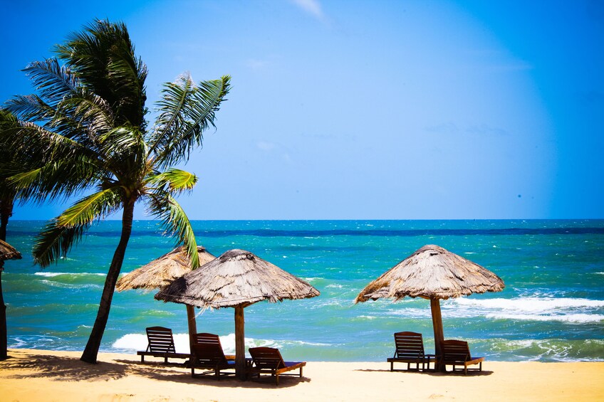 Show item 5 of 10. Discover Phu Quoc National Park and Cua Can River Full-Day