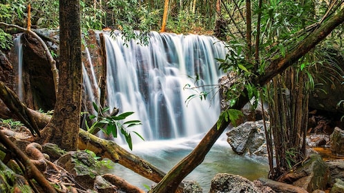 Discover Phu Quoc National Park and Cua Can River Full-Day