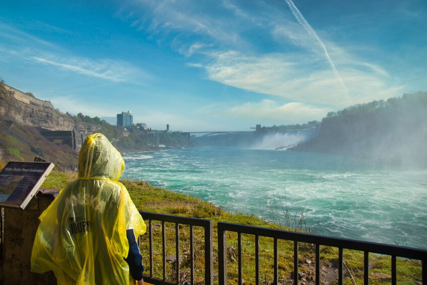 expedia cruise niagara falls