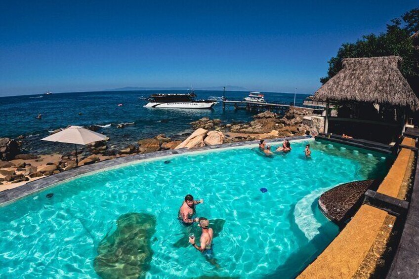 Mega Yacht All Inclusive Beach, snorkeling, pool, waterfalls.