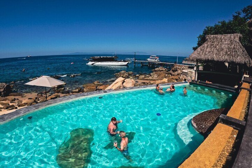 Mega Yacht All Inclusive Beach, snorkeling, pool, waterfalls.