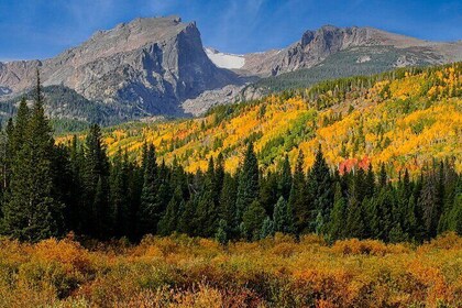 Half-Day Rocky Mountain National Park "Mountains to Sky Tour" - RMNPhotogra...