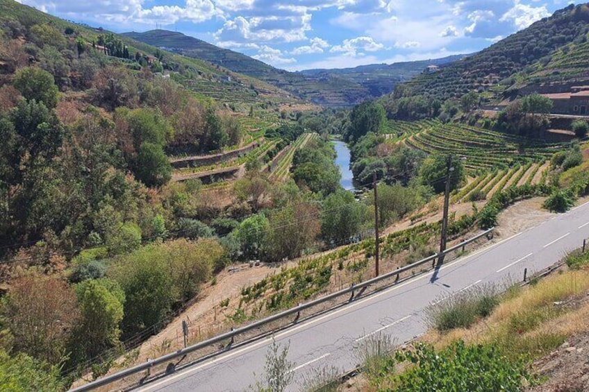 Douro Valley Semi-Private Tour with Two Wineries, Lunch and Optional Cruise