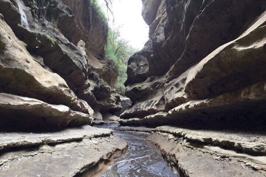 Full day private tour to Hells Gate National park from Nairobi.