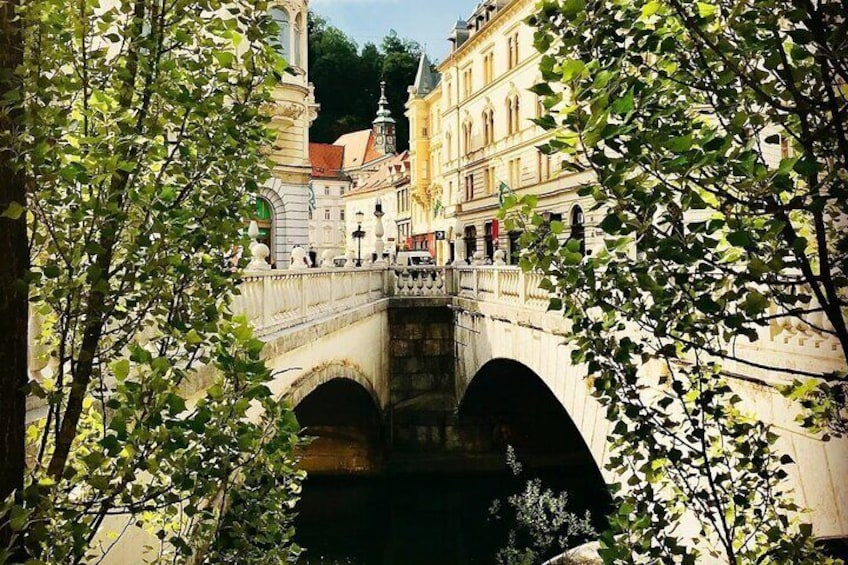 Discover Ljubljana with a local