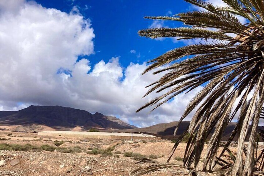 Family Hiking with Goats Experience in Fuerteventura