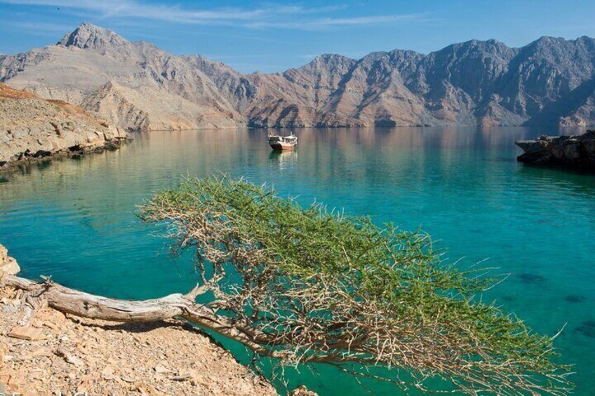 Khasab Musandam Half Day Dhow Cruise 