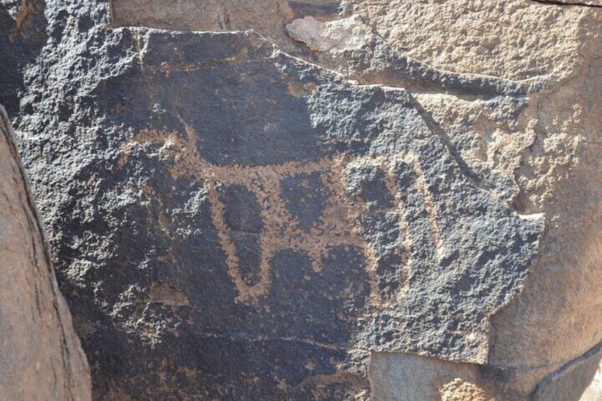 Wonders of Tabuk Tour 3 Days 2 Nights Tour