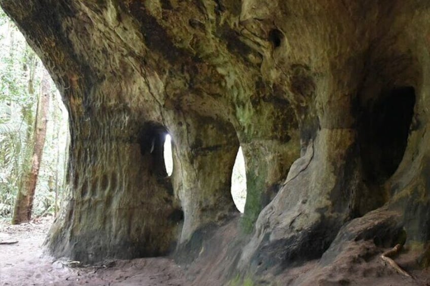 Full-Day Package Tour in Presidente Figueiredo