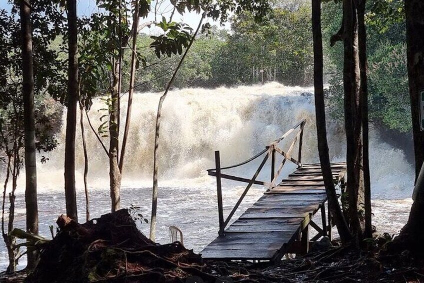 Full-Day Package Tour in Presidente Figueiredo