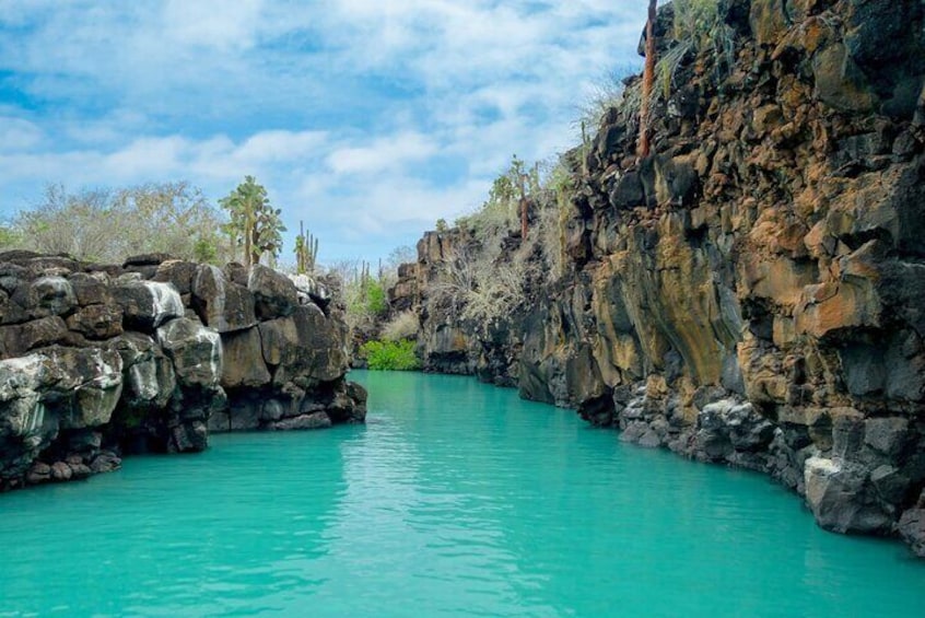 7 Days Tour in Quito and Santa Cruz/Galapagos - Best of Ecuador