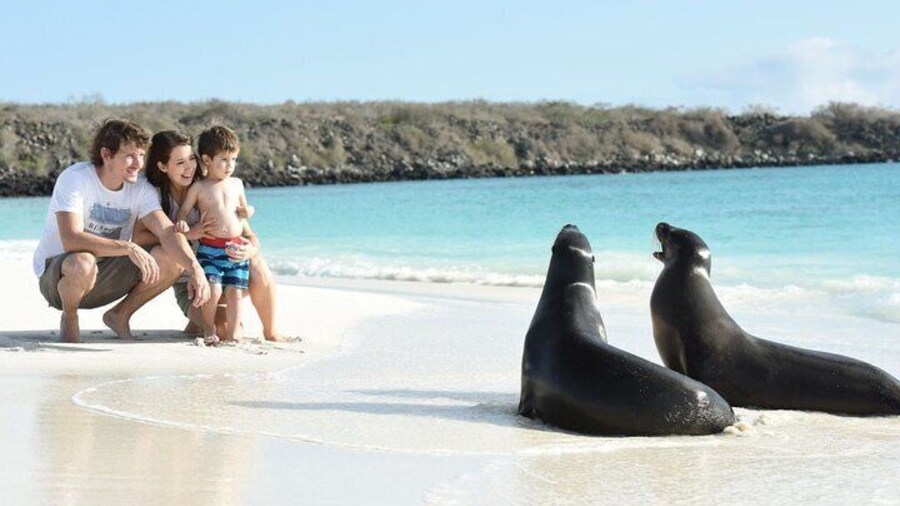 7 Days Tour in Quito and Santa Cruz/Galapagos - Best of Ecuador