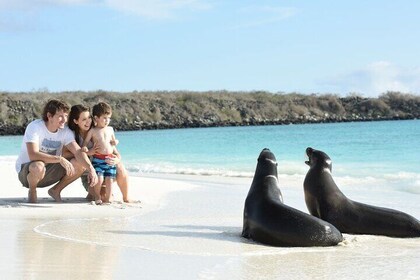 7 Days Tour in Quito and Santa Cruz/Galapagos - Best of Ecuador