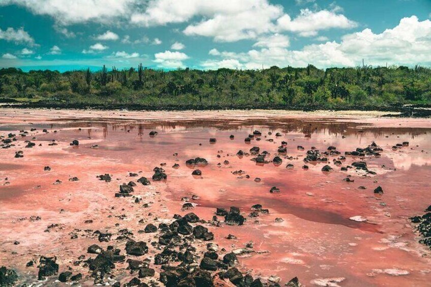 Ecuador 7 Days Tour in Quito and Santa Cruz/Galapagos - Best of Ecuador