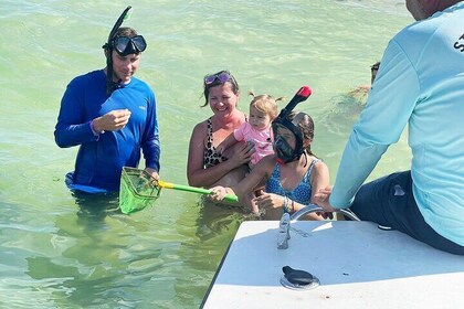Excursion éco privée de 3 heures avec saut d'île à St. Petersburg, Floride