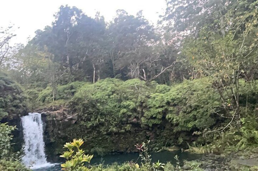 Hana Private Road Tour