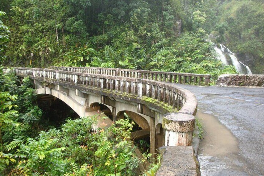 Hana Private Road Tour