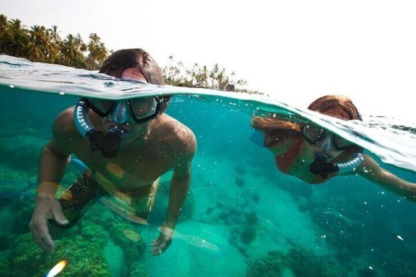 Bermuda Island Glass-Bottom Snorkeling Tour