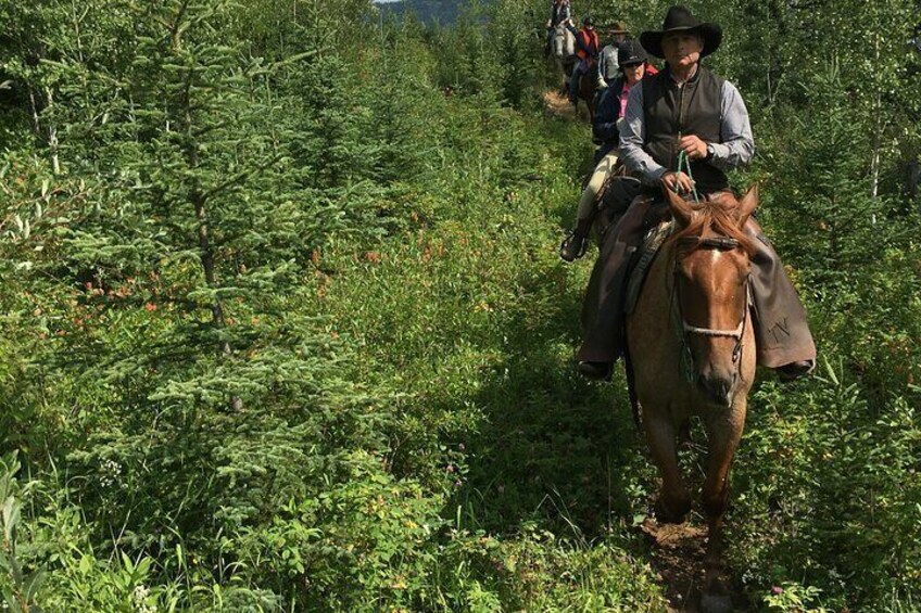 A Day on the trail