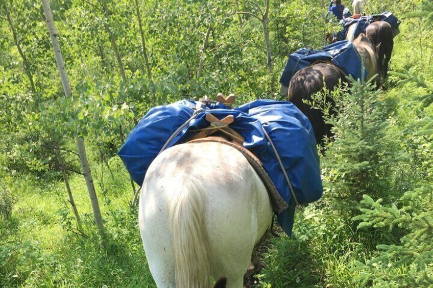 Everything is packed in and out on the packhorses